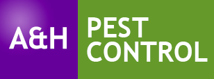 A&H Pest Control Chislehurst