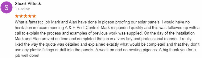 welwyn garden city pigeon control