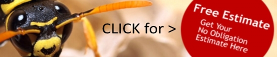 pest control Wasp Removal putney