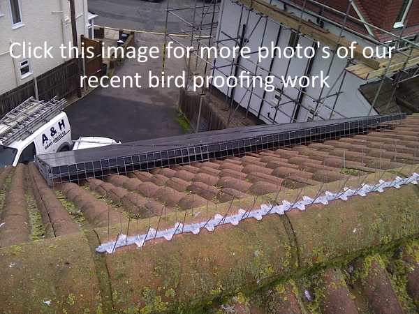 Pigeon Barrier