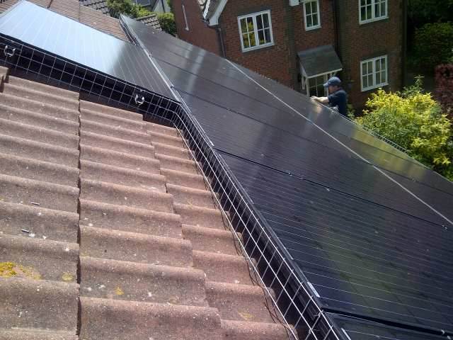 pigeon protection solar panels