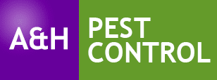 rat removal london Rat Control UK